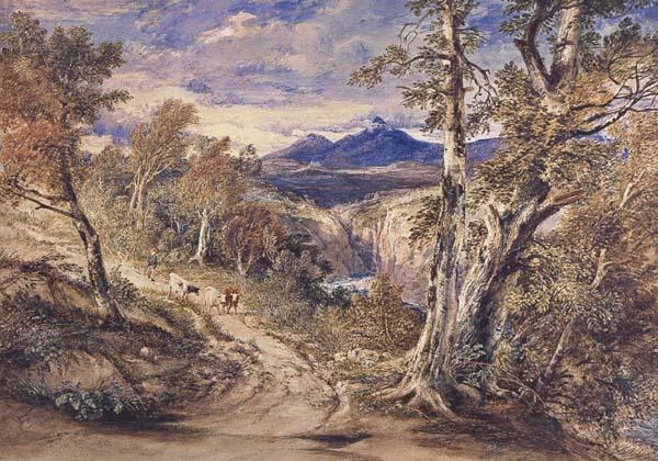 Anthony Vandyck Copley Fielding Scence in Glen Falloch,Argyllshire (mk47) oil painting picture